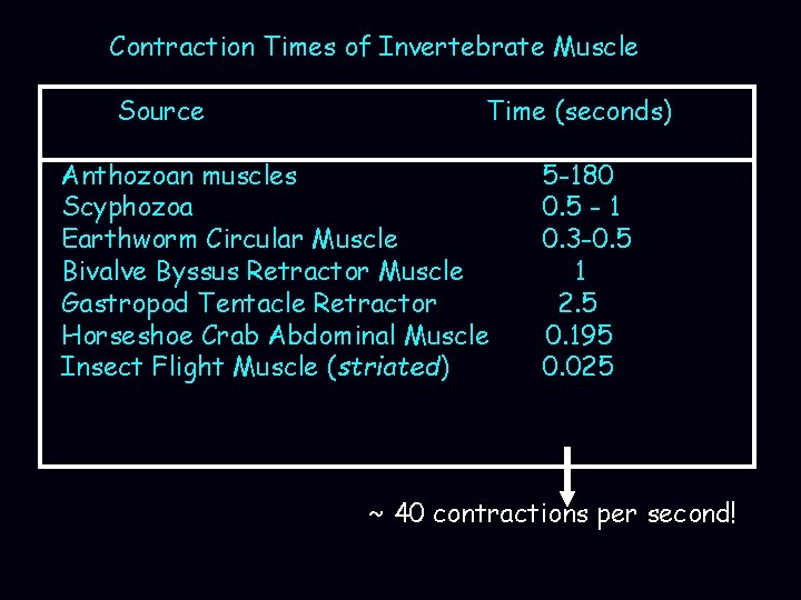 Contraction Times of Invertebrate Muscle Source Time (seconds) Anthozoan muscles Scyphozoa Earthworm Circular Muscle