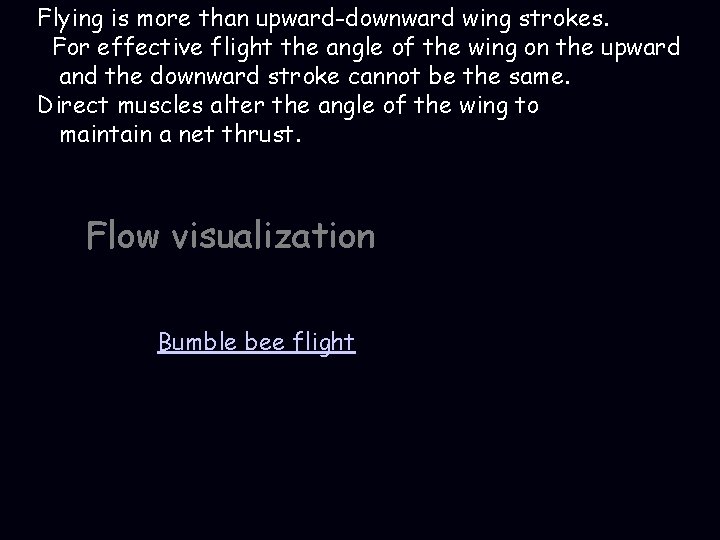 Flying is more than upward-downward wing strokes. For effective flight the angle of the