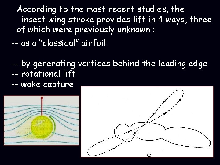 According to the most recent studies, the insect wing stroke provides lift in 4