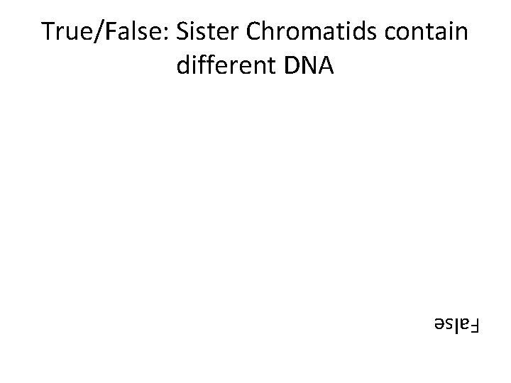 True/False: Sister Chromatids contain different DNA False 