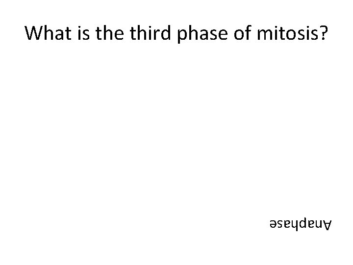 What is the third phase of mitosis? Anaphase 