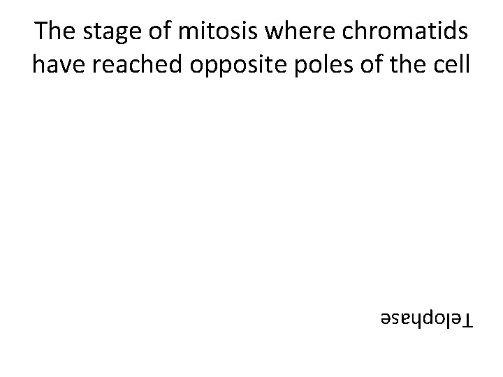 The stage of mitosis where chromatids have reached opposite poles of the cell Telophase