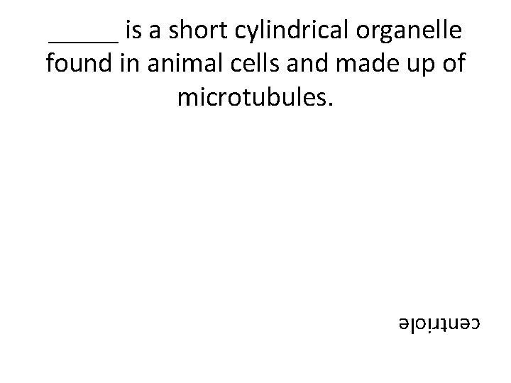 _____ is a short cylindrical organelle found in animal cells and made up of