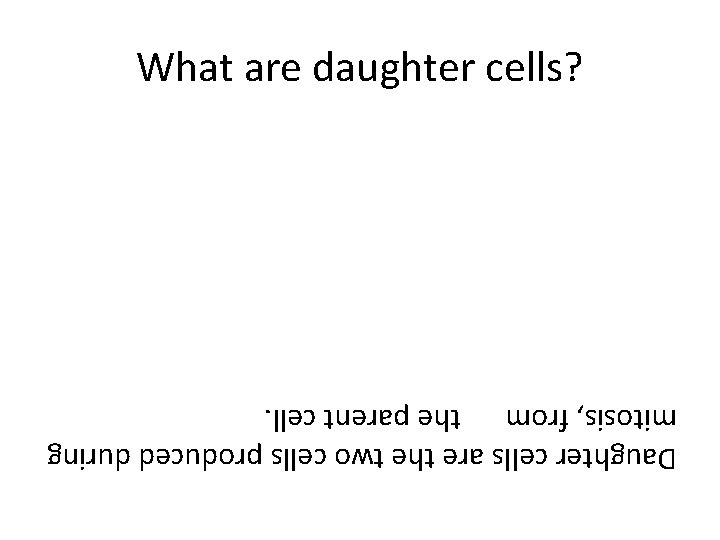 Daughter cells are the two cells produced during mitosis, from the parent cell. What