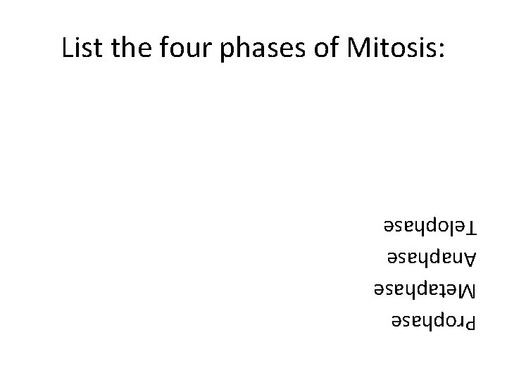 Prophase Metaphase Anaphase Telophase List the four phases of Mitosis: 