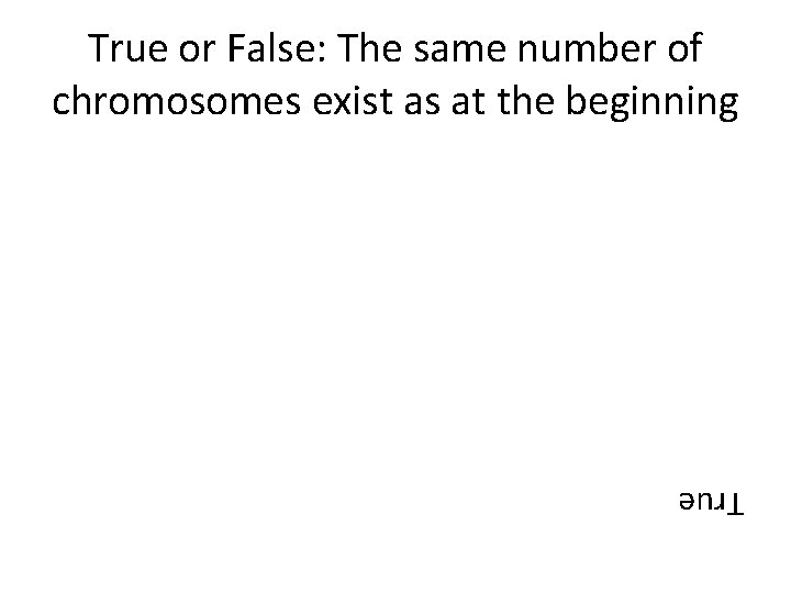 True or False: The same number of chromosomes exist as at the beginning True