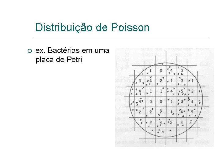 Distribuição de Poisson ex. Bactérias em uma placa de Petri 