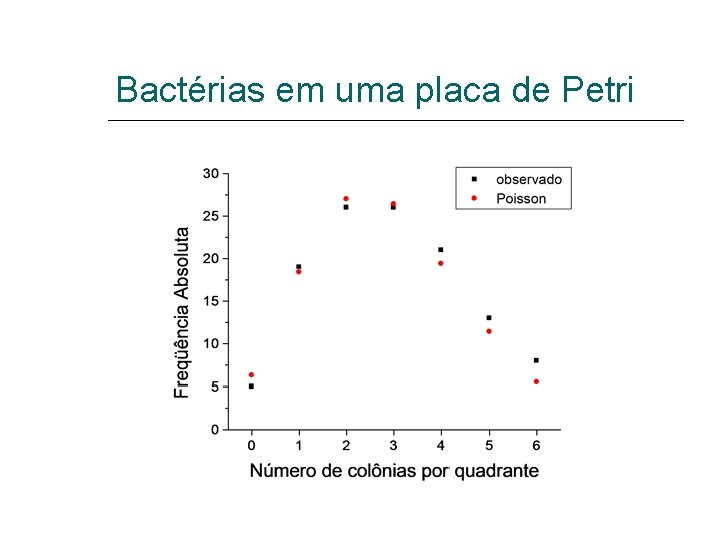 Bactérias em uma placa de Petri 