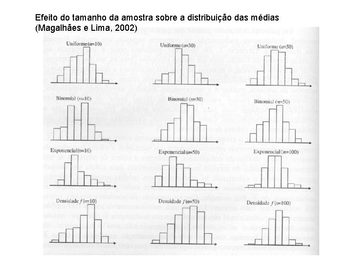 Efeito do tamanho da amostra sobre a distribuição das médias (Magalhães e Lima, 2002)