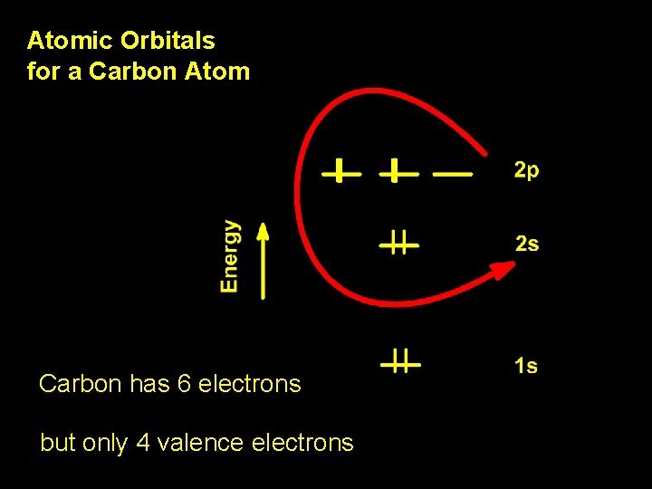 Atomic Orbitals for a Carbon Atom Carbon has 6 electrons but only 4 valence