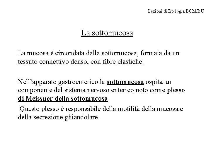 Lezioni di Istologia BCM/BU La sottomucosa La mucosa è circondata dalla sottomucosa, formata da