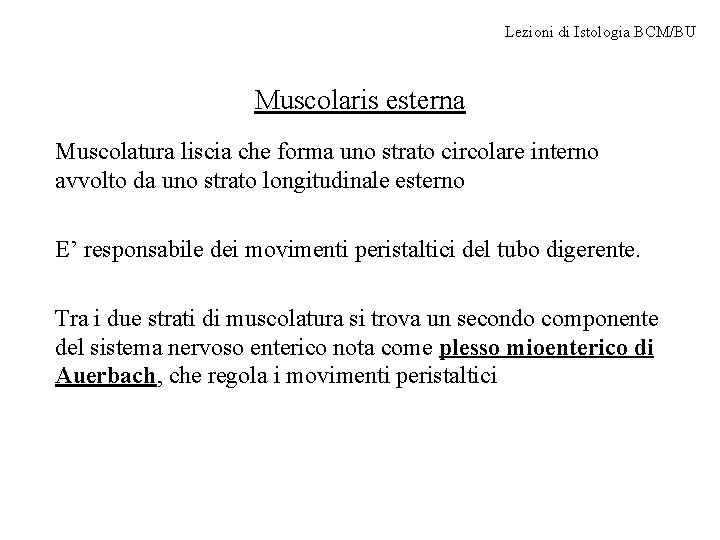 Lezioni di Istologia BCM/BU Muscolaris esterna Muscolatura liscia che forma uno strato circolare interno