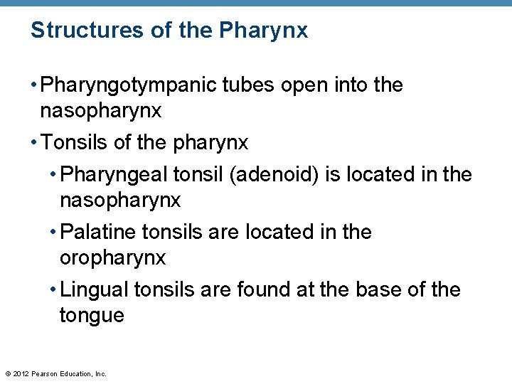 Structures of the Pharynx • Pharyngotympanic tubes open into the nasopharynx • Tonsils of