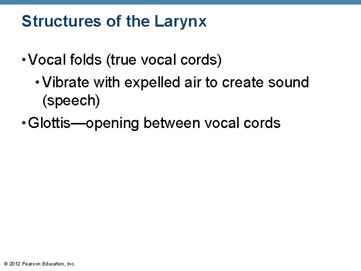 Structures of the Larynx • Vocal folds (true vocal cords) • Vibrate with expelled