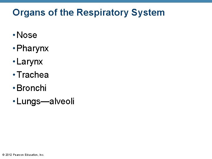Organs of the Respiratory System • Nose • Pharynx • Larynx • Trachea •