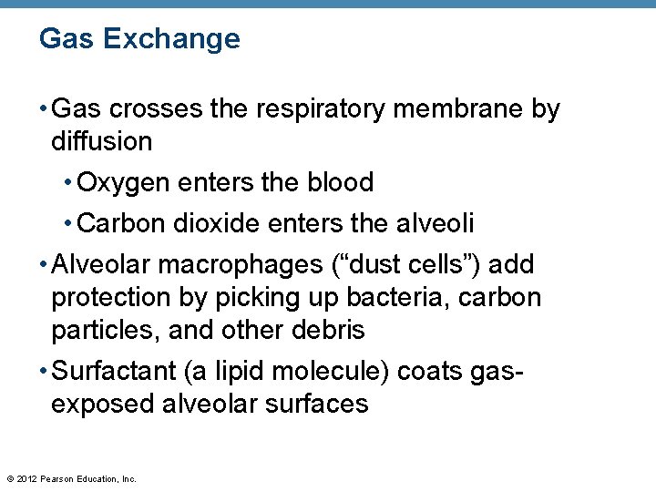 Gas Exchange • Gas crosses the respiratory membrane by diffusion • Oxygen enters the