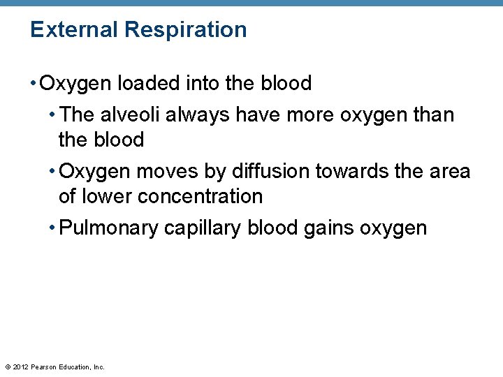 External Respiration • Oxygen loaded into the blood • The alveoli always have more