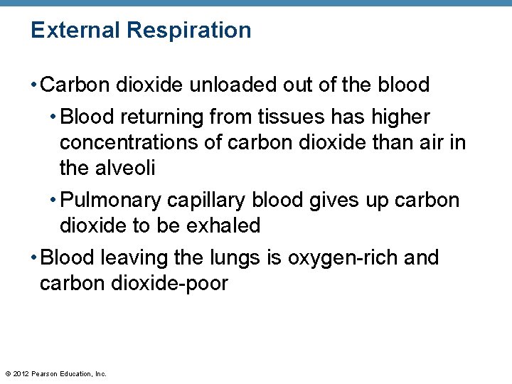 External Respiration • Carbon dioxide unloaded out of the blood • Blood returning from