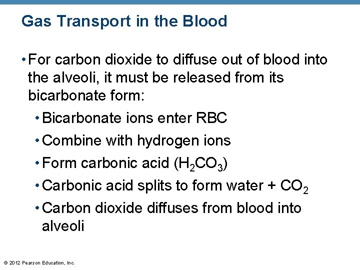 Gas Transport in the Blood • For carbon dioxide to diffuse out of blood