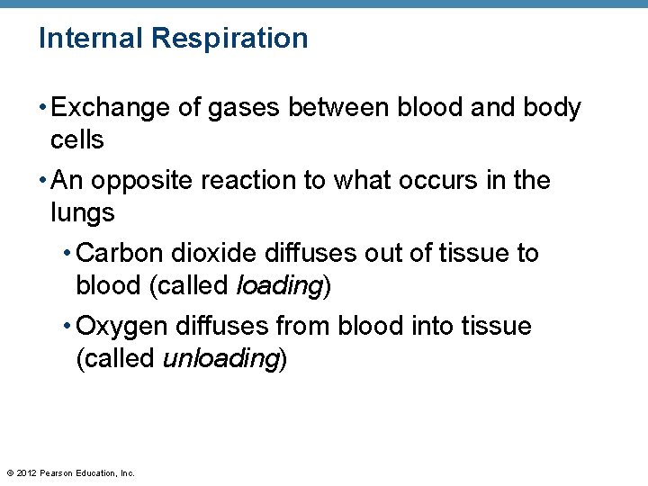 Internal Respiration • Exchange of gases between blood and body cells • An opposite