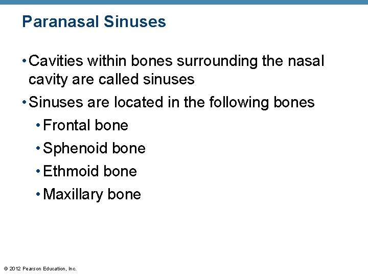Paranasal Sinuses • Cavities within bones surrounding the nasal cavity are called sinuses •