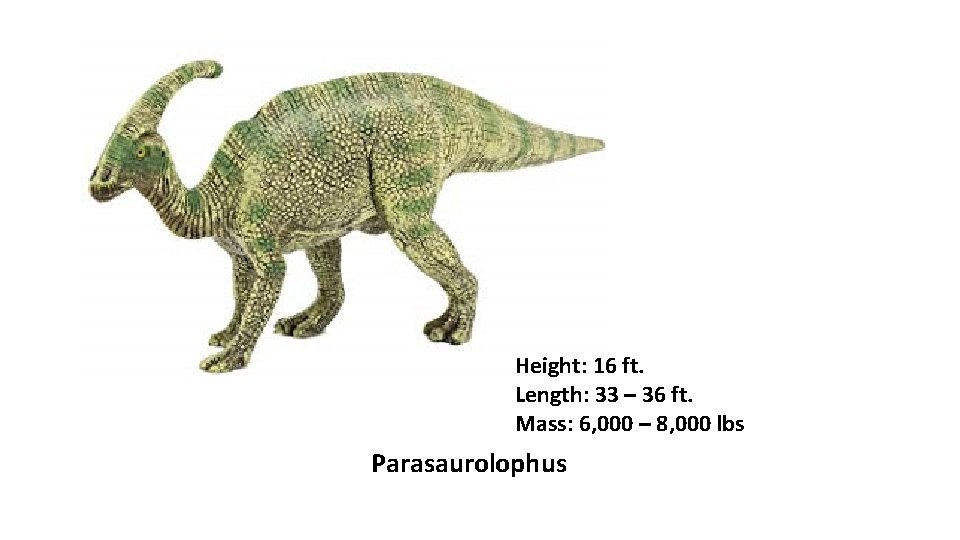 Height: 16 ft. Length: 33 – 36 ft. Mass: 6, 000 – 8, 000