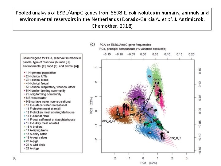 Pooled analysis of ESBL/Amp. C genes from 5808 E. coli isolates in humans, animals