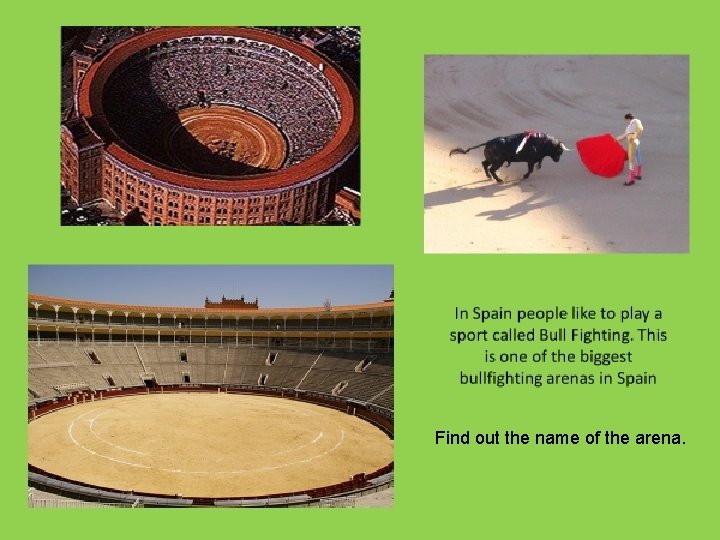 Find out the name of the arena. 