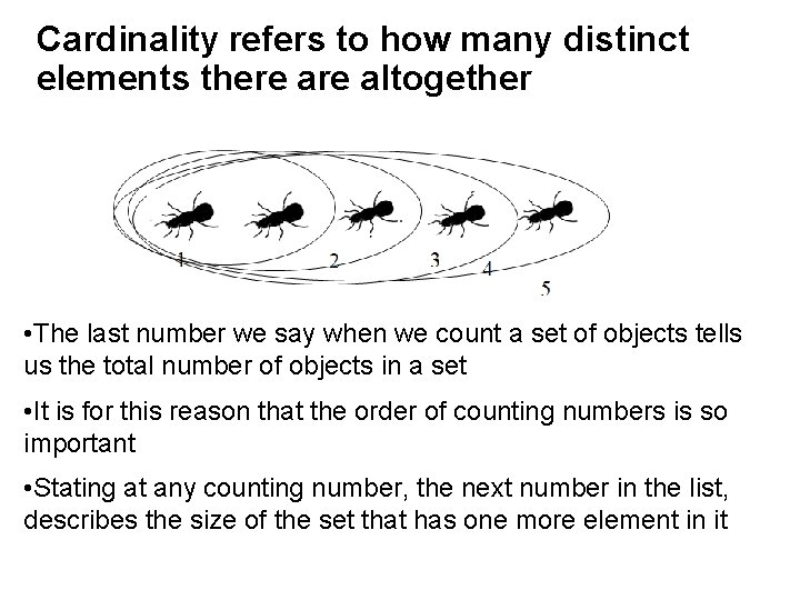 Cardinality refers to how many distinct elements there altogether • The last number we