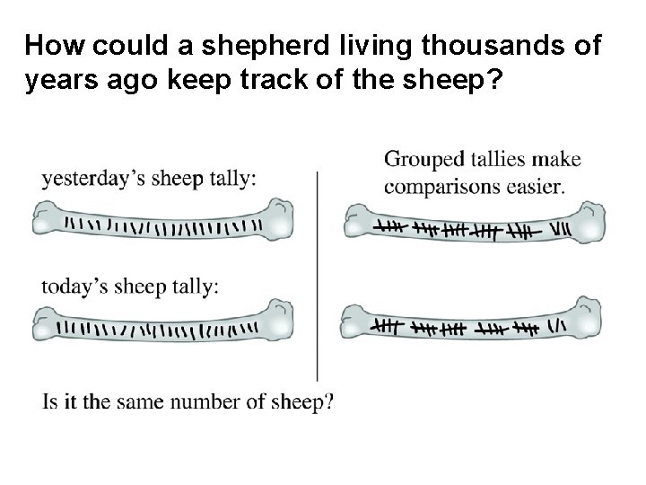 How could a shepherd living thousands of years ago keep track of the sheep?