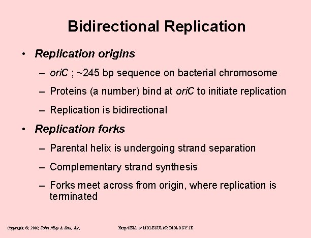 Bidirectional Replication • Replication origins – ori. C ; ~245 bp sequence on bacterial