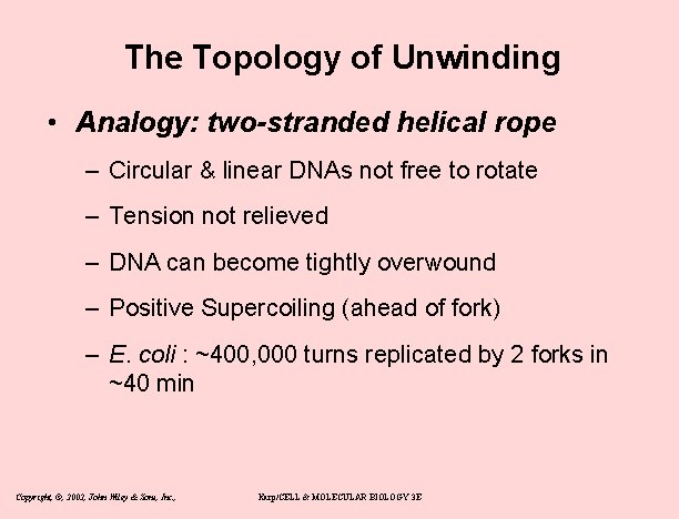 The Topology of Unwinding • Analogy: two-stranded helical rope – Circular & linear DNAs
