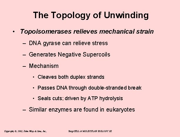 The Topology of Unwinding • Topoisomerases relieves mechanical strain – DNA gyrase can relieve