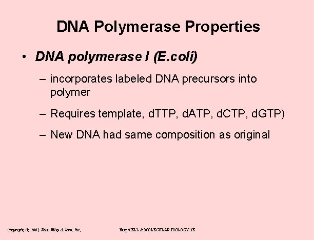 DNA Polymerase Properties • DNA polymerase I (E. coli) – incorporates labeled DNA precursors