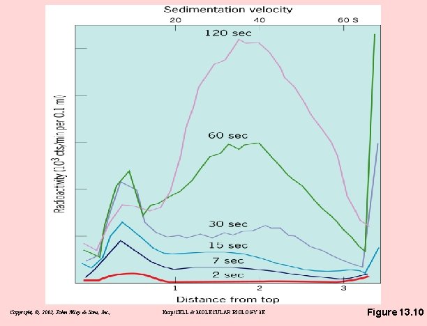 Copyright, ©, 2002, John Wiley & Sons, Inc. , Karp/CELL & MOLECULAR BIOLOGY 3