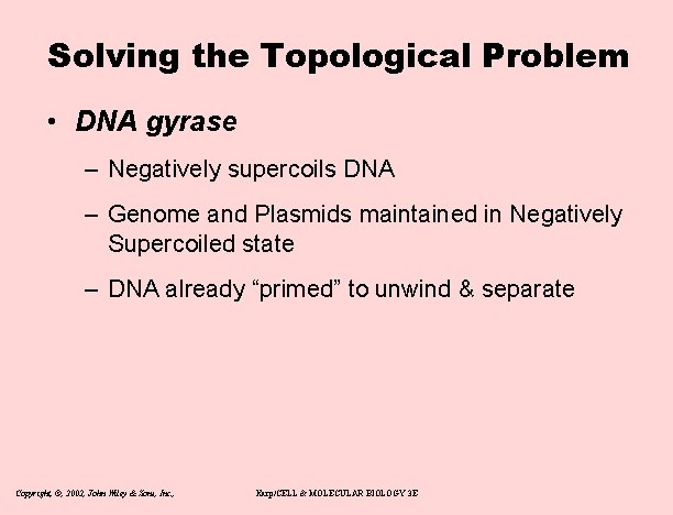 Solving the Topological Problem • DNA gyrase – Negatively supercoils DNA – Genome and