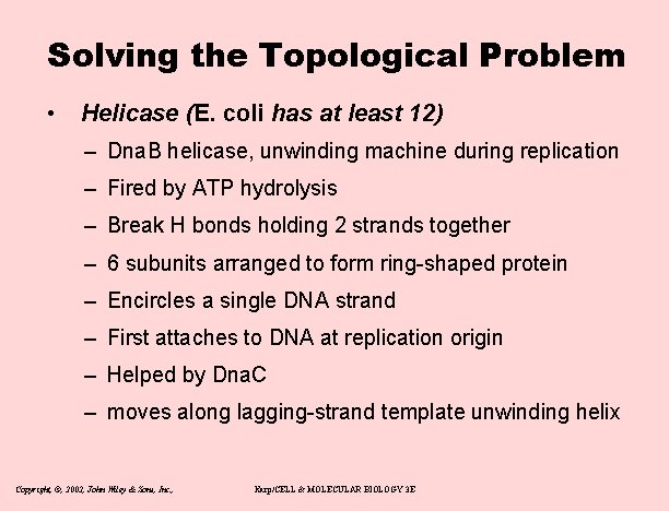 Solving the Topological Problem • Helicase (E. coli has at least 12) – Dna.