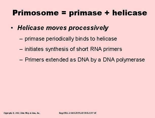 Primosome = primase + helicase • Helicase moves processively – primase periodically binds to
