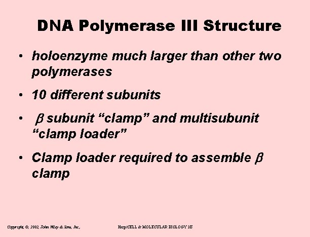 DNA Polymerase III Structure • holoenzyme much larger than other two polymerases • 10