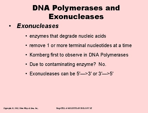 DNA Polymerases and Exonucleases • enzymes that degrade nucleic acids • remove 1 or