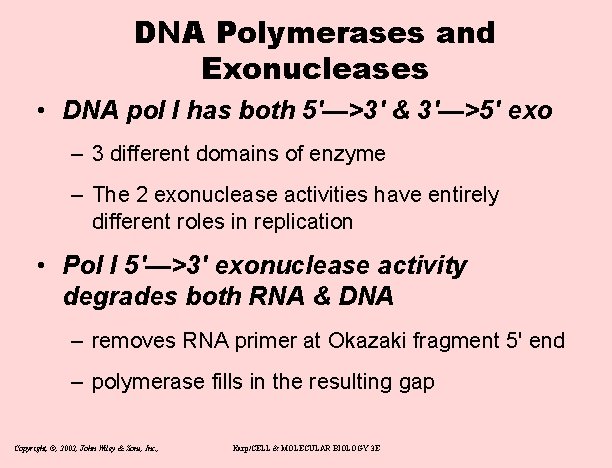 DNA Polymerases and Exonucleases • DNA pol I has both 5'—>3' & 3'—>5' exo