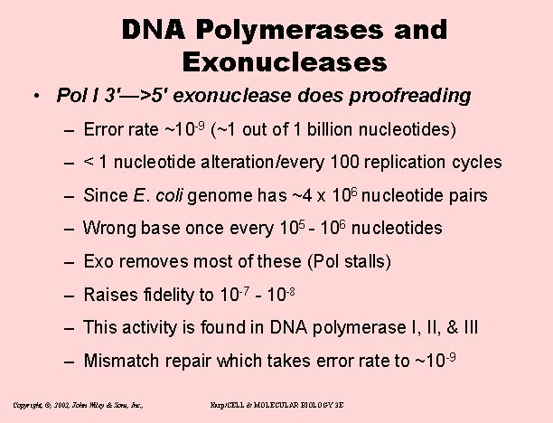 DNA Polymerases and Exonucleases • Pol I 3'—>5' exonuclease does proofreading – Error rate