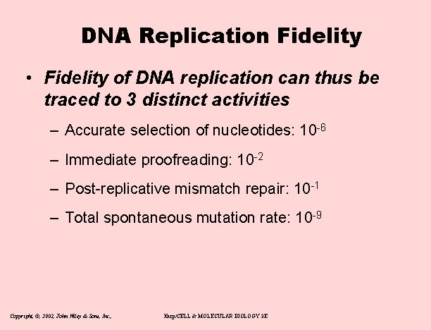 DNA Replication Fidelity • Fidelity of DNA replication can thus be traced to 3