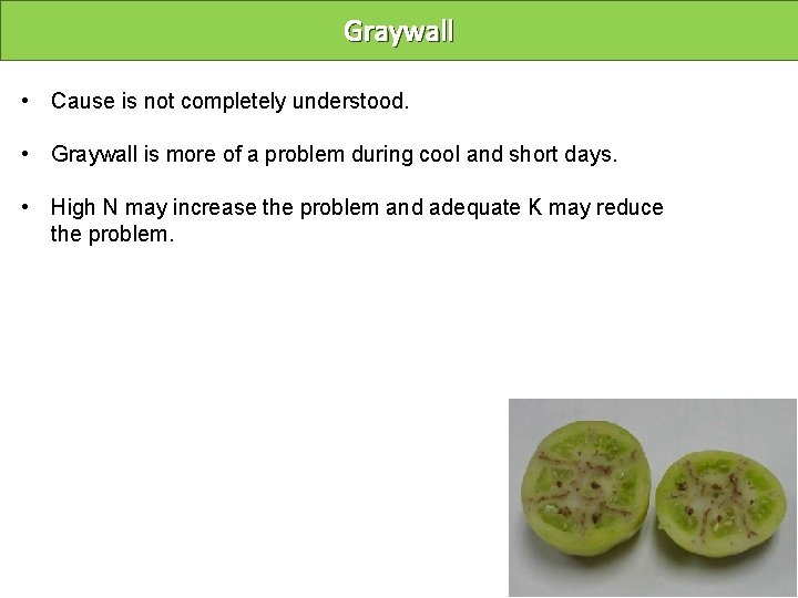 Graywall • Cause is not completely understood. • Graywall is more of a problem