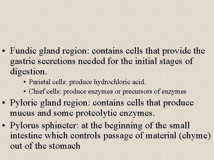  • Fundic gland region: contains cells that provide the gastric secretions needed for