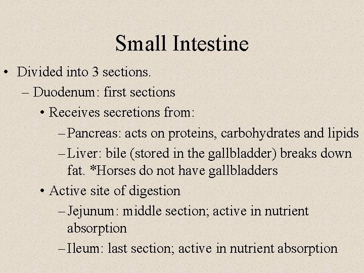 Small Intestine • Divided into 3 sections. – Duodenum: first sections • Receives secretions