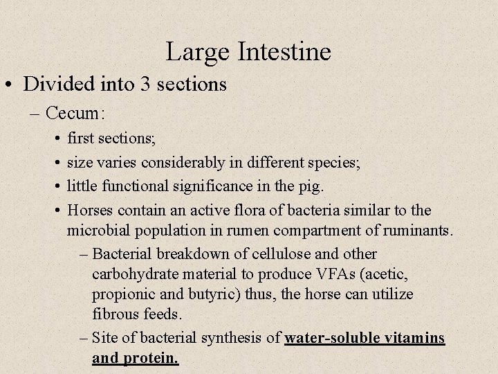 Large Intestine • Divided into 3 sections – Cecum: • • first sections; size