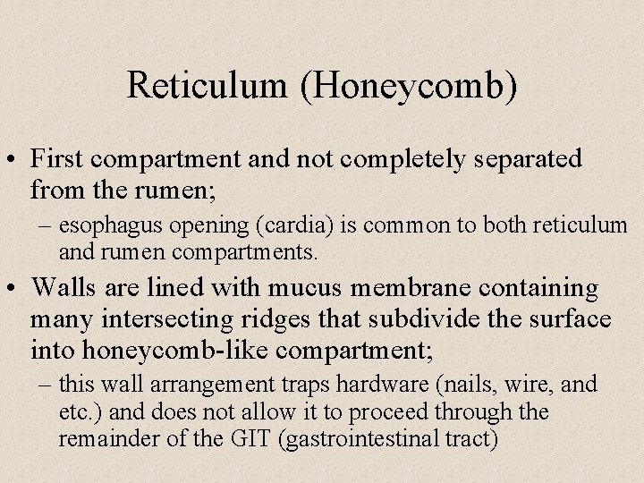 Reticulum (Honeycomb) • First compartment and not completely separated from the rumen; – esophagus