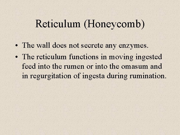 Reticulum (Honeycomb) • The wall does not secrete any enzymes. • The reticulum functions