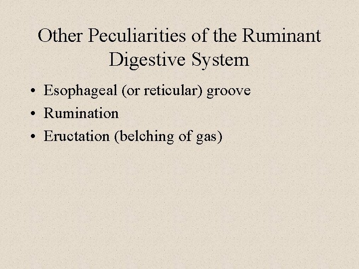 Other Peculiarities of the Ruminant Digestive System • Esophageal (or reticular) groove • Rumination